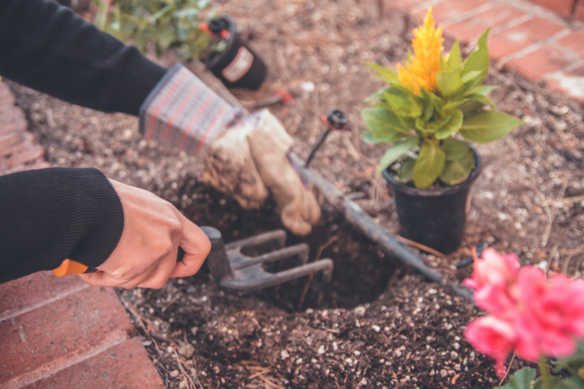 Garden Planting Services Cheshire